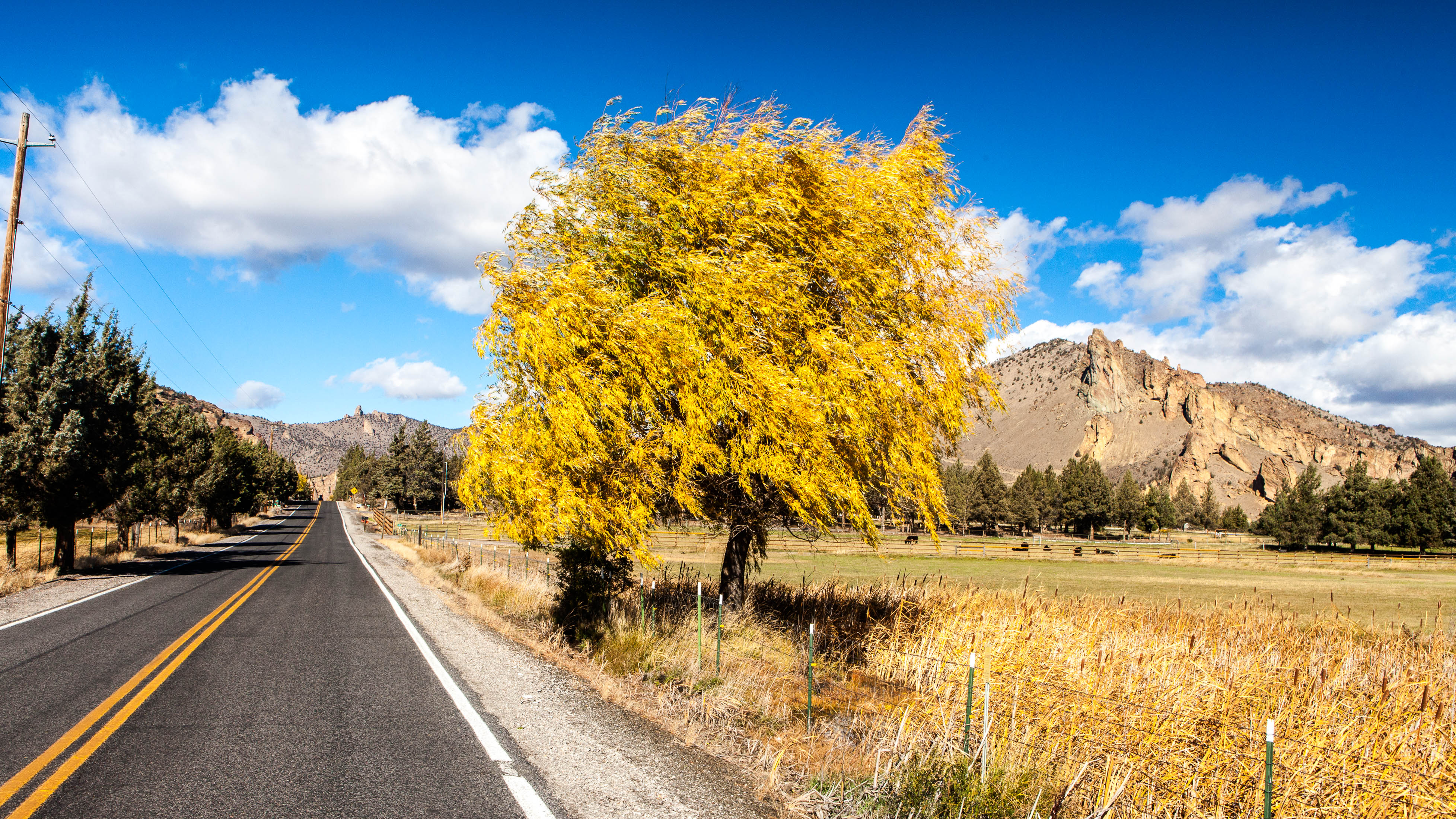 LANDSCAPES_A-01-007